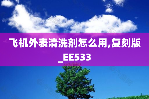 飞机外表清洗剂怎么用,复刻版_EE533