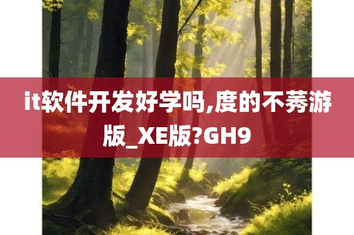 it软件开发好学吗,度的不莠游版_XE版?GH9