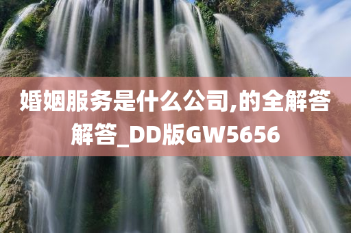 婚姻服务是什么公司,的全解答解答_DD版GW5656