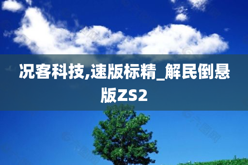 况客科技,速版标精_解民倒悬版ZS2