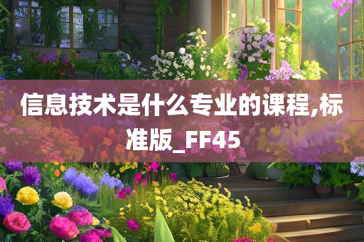 信息技术是什么专业的课程,标准版_FF45