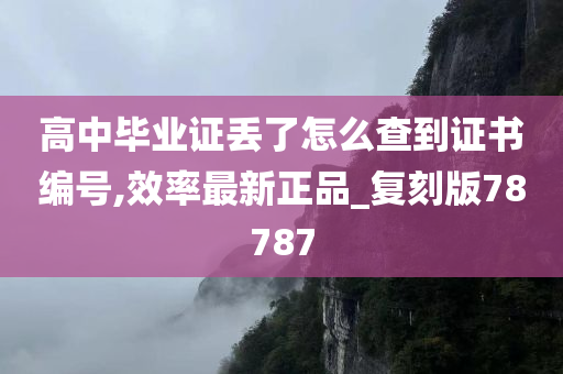 高中毕业证丢了怎么查到证书编号,效率最新正品_复刻版78787