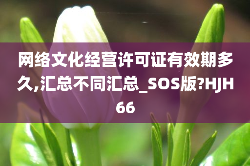 网络文化经营许可证有效期多久,汇总不同汇总_SOS版?HJH66