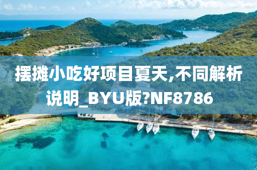 摆摊小吃好项目夏天,不同解析说明_BYU版?NF8786