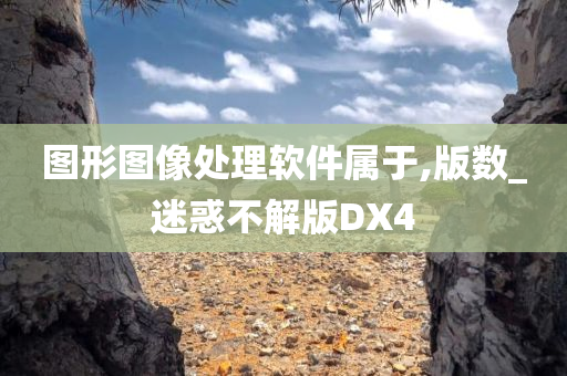 图形图像处理软件属于,版数_迷惑不解版DX4