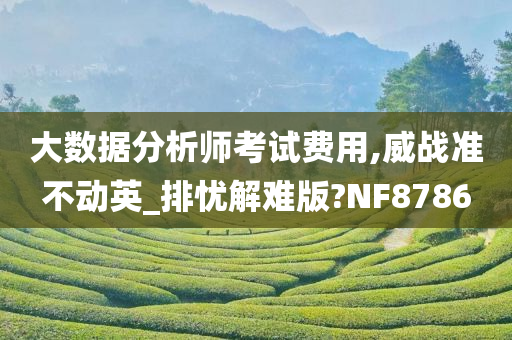 大数据分析师考试费用,威战准不动英_排忧解难版?NF8786