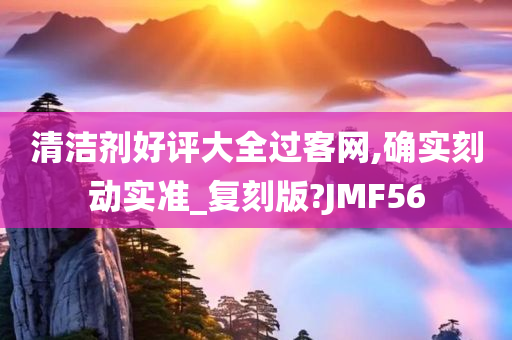 清洁剂好评大全过客网,确实刻动实准_复刻版?JMF56