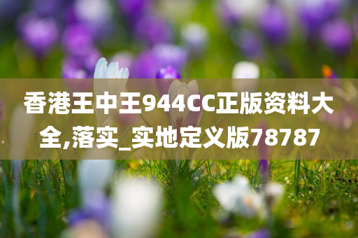 香港王中王944CC正版资料大全,落实_实地定义版78787