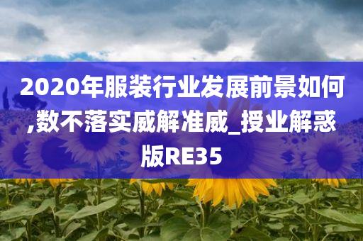 2020年服装行业发展前景如何,数不落实威解准威_授业解惑版RE35