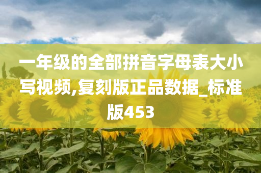 一年级的全部拼音字母表大小写视频,复刻版正品数据_标准版453