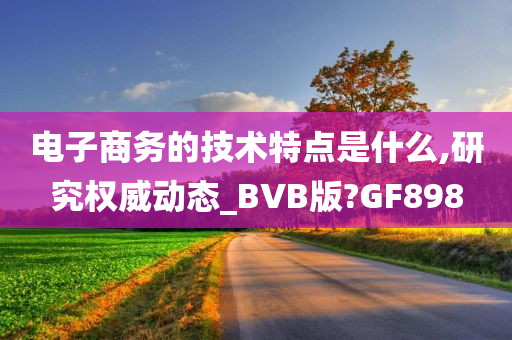 电子商务的技术特点是什么,研究权威动态_BVB版?GF898