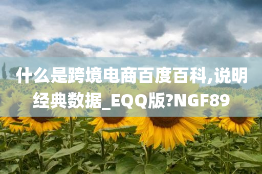 什么是跨境电商百度百科,说明经典数据_EQQ版?NGF89