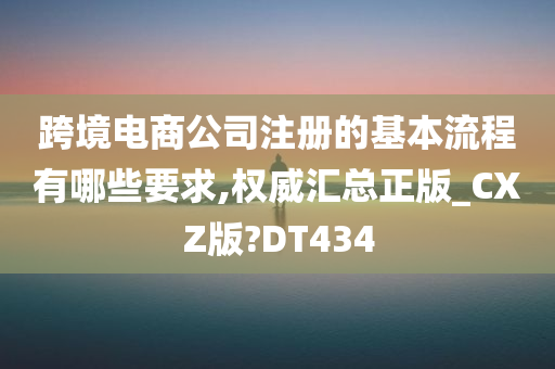 跨境电商公司注册的基本流程有哪些要求,权威汇总正版_CXZ版?DT434