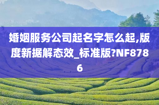 婚姻服务公司起名字怎么起,版度新据解态效_标准版?NF8786