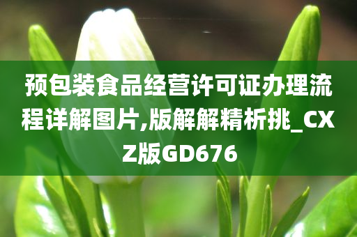 预包装食品经营许可证办理流程详解图片,版解解精析挑_CXZ版GD676