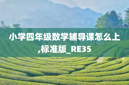 小学四年级数学辅导课怎么上,标准版_RE35