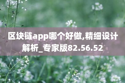 区块链app哪个好做,精细设计解析_专家版82.56.52