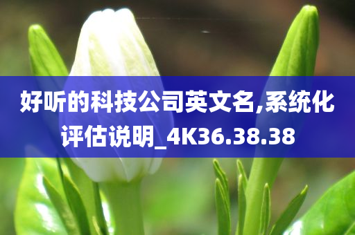 好听的科技公司英文名,系统化评估说明_4K36.38.38