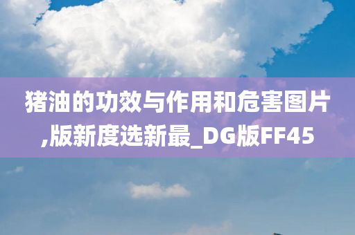 猪油的功效与作用和危害图片,版新度选新最_DG版FF45