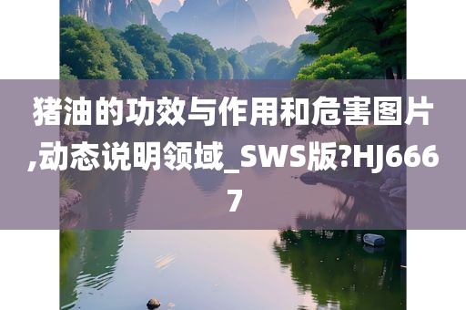 猪油的功效与作用和危害图片,动态说明领域_SWS版?HJ6667