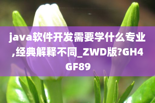 java软件开发需要学什么专业,经典解释不同_ZWD版?GH4GF89