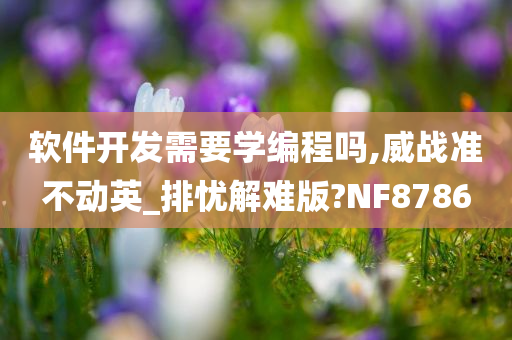 软件开发需要学编程吗,威战准不动英_排忧解难版?NF8786