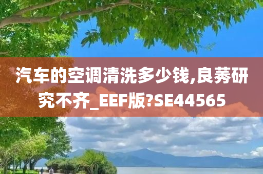 汽车的空调清洗多少钱,良莠研究不齐_EEF版?SE44565