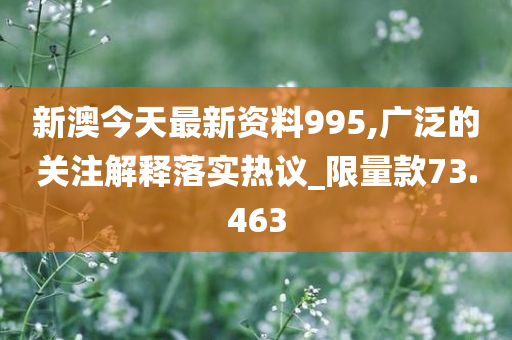 新澳今天最新资料995,广泛的关注解释落实热议_限量款73.463