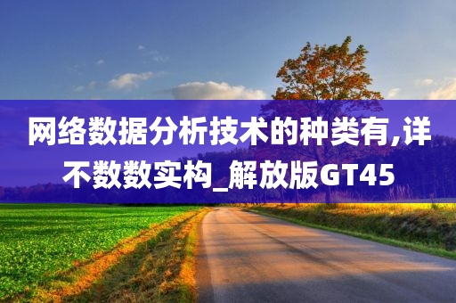 网络数据分析技术的种类有,详不数数实构_解放版GT45