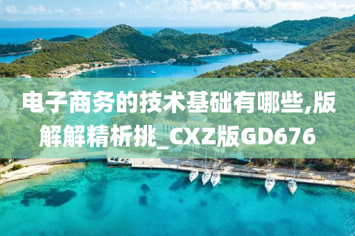 电子商务的技术基础有哪些,版解解精析挑_CXZ版GD676