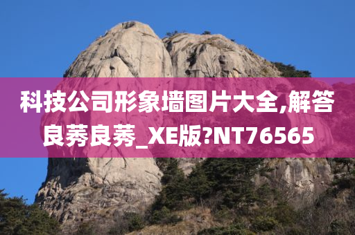 科技公司形象墙图片大全,解答良莠良莠_XE版?NT76565