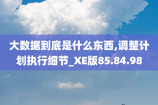 大数据到底是什么东西,调整计划执行细节_XE版85.84.98