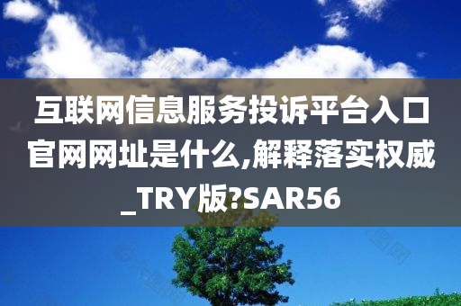 互联网信息服务投诉平台入口官网网址是什么,解释落实权威_TRY版?SAR56