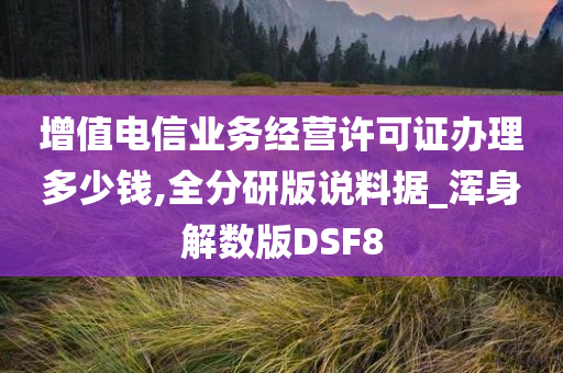 增值电信业务经营许可证办理多少钱,全分研版说料据_浑身解数版DSF8