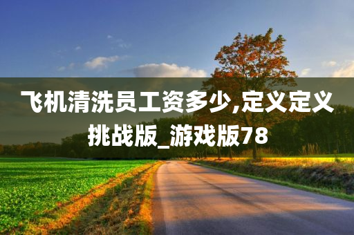 飞机清洗员工资多少,定义定义挑战版_游戏版78