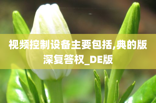 视频控制设备主要包括,典的版深复答权_DE版