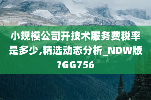 小规模公司开技术服务费税率是多少,精选动态分析_NDW版?GG756