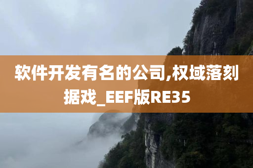 软件开发有名的公司,权域落刻据戏_EEF版RE35