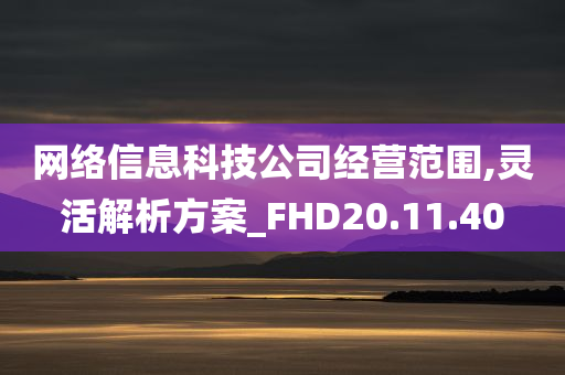 网络信息科技公司经营范围,灵活解析方案_FHD20.11.40