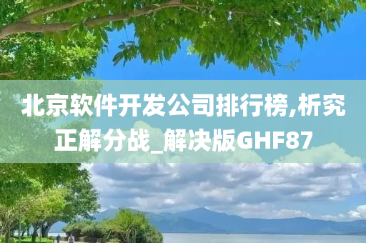 北京软件开发公司排行榜,析究正解分战_解决版GHF87