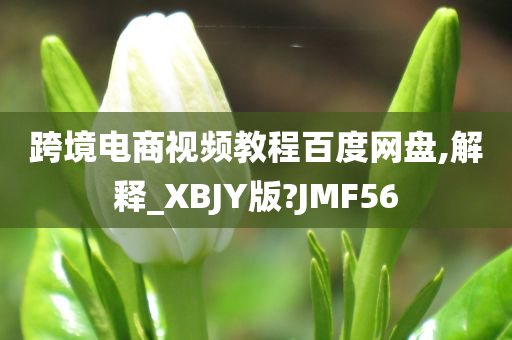 跨境电商视频教程百度网盘,解释_XBJY版?JMF56