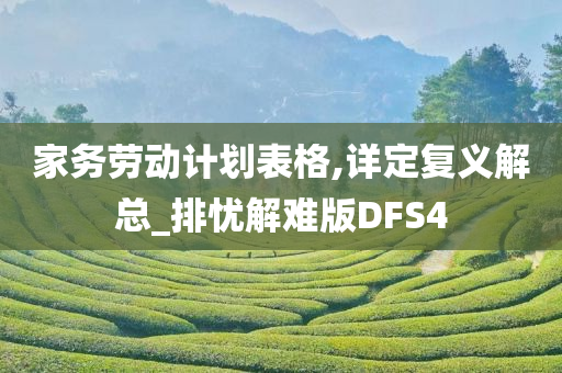 家务劳动计划表格,详定复义解总_排忧解难版DFS4