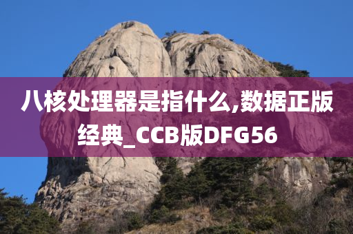 八核处理器是指什么,数据正版经典_CCB版DFG56