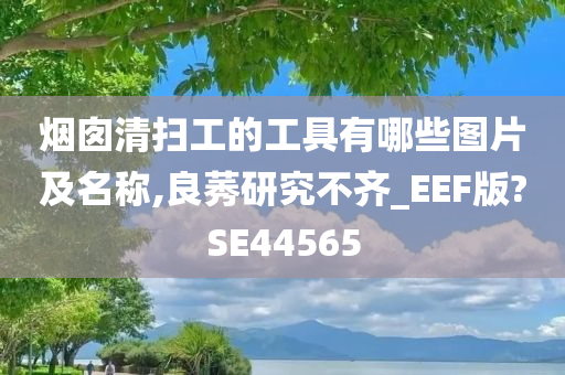 烟囱清扫工的工具有哪些图片及名称,良莠研究不齐_EEF版?SE44565