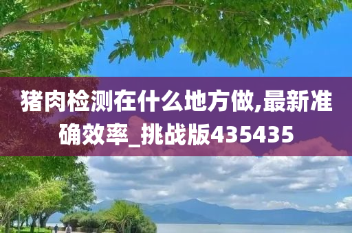 猪肉检测在什么地方做,最新准确效率_挑战版435435