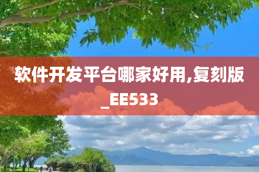 软件开发平台哪家好用,复刻版_EE533