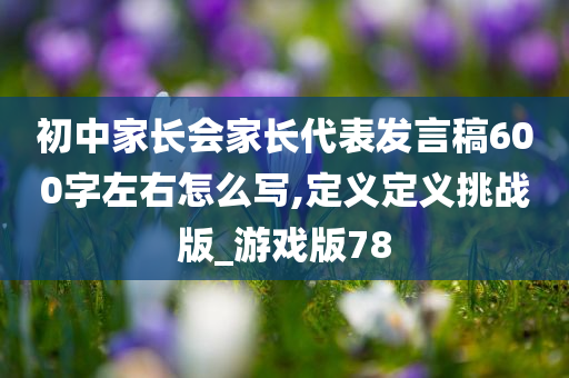 初中家长会家长代表发言稿600字左右怎么写,定义定义挑战版_游戏版78