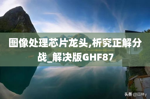 图像处理芯片龙头,析究正解分战_解决版GHF87