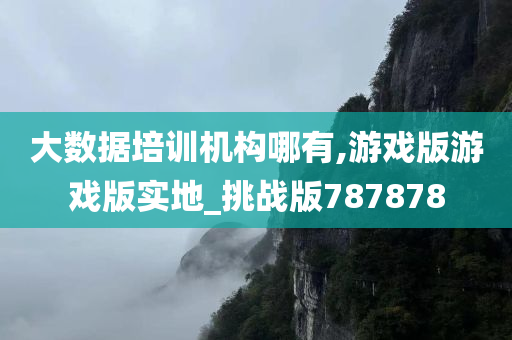 大数据培训机构哪有,游戏版游戏版实地_挑战版787878