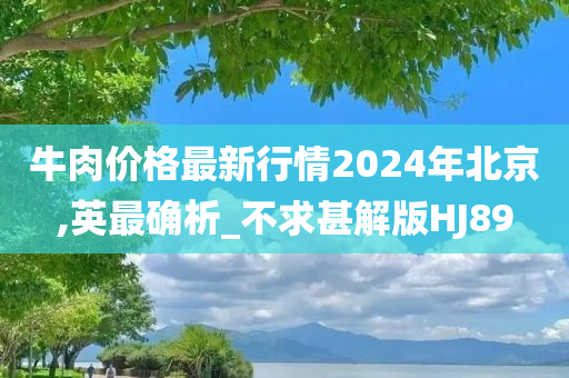 牛肉价格最新行情2024年北京,英最确析_不求甚解版HJ89